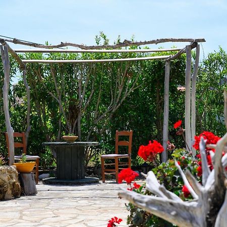 Harmony Corfu Apartments & Studios Exterior foto