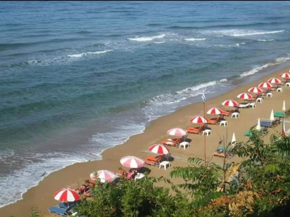 Harmony Corfu Apartments & Studios Exterior foto