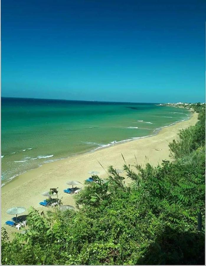 Harmony Corfu Apartments & Studios Exterior foto