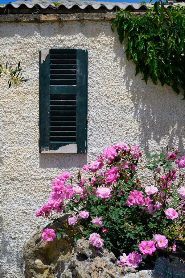 Harmony Corfu Apartments & Studios Exterior foto
